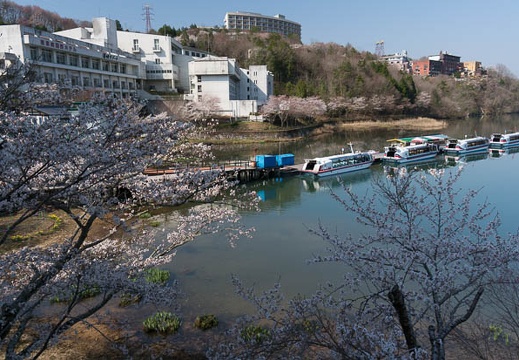 201404080855-DSC03540N.jpg