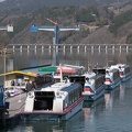 201404080857-DSC02559.jpg