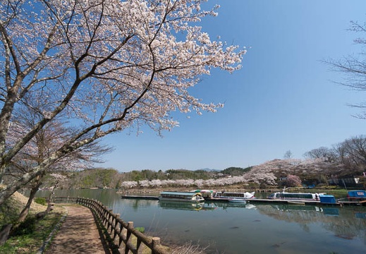 201404080903-DSC03557N.jpg