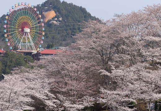 201404080905-DSC02581.jpg