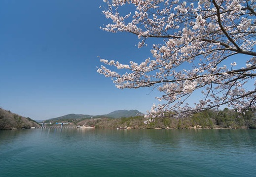 201404080934-DSC03594N.jpg