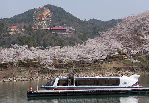 201404081027-DSC02682.jpg