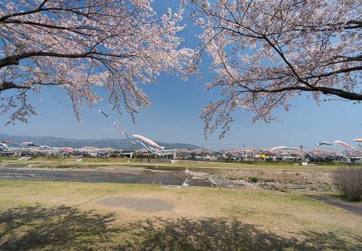 201404091047-DSC03942N.jpg