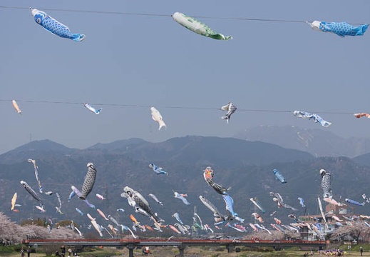 201404091106-DSC03054.jpg