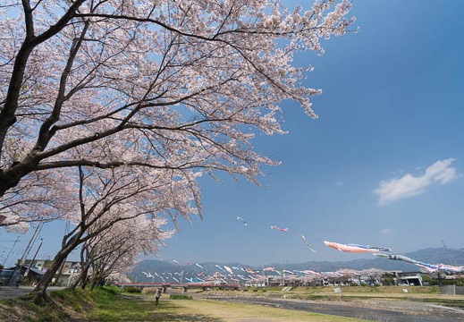 201404091117-DSC03984N.jpg