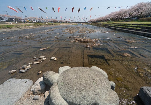 201404091129-DSC04005N.jpg