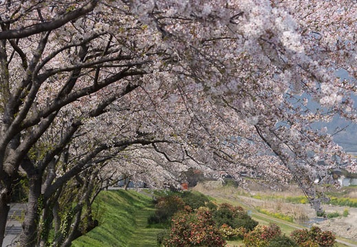 201404091141-DSC03108.jpg