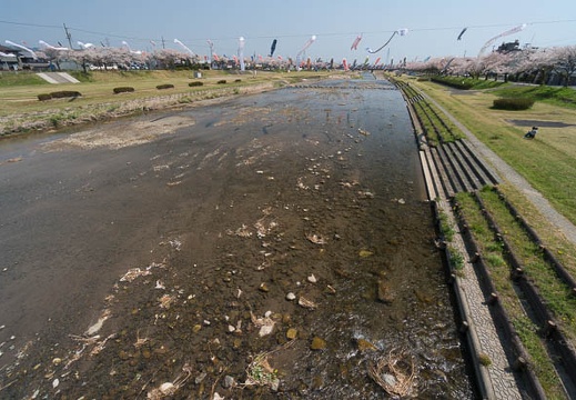 201404091143-DSC04043N.jpg