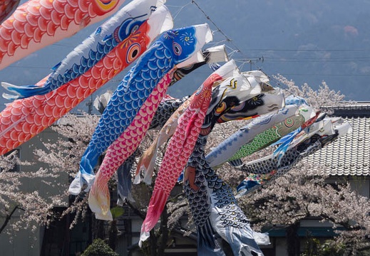 201404091200-DSC03148.jpg