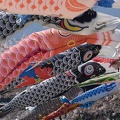 201404091203-DSC03158.jpg