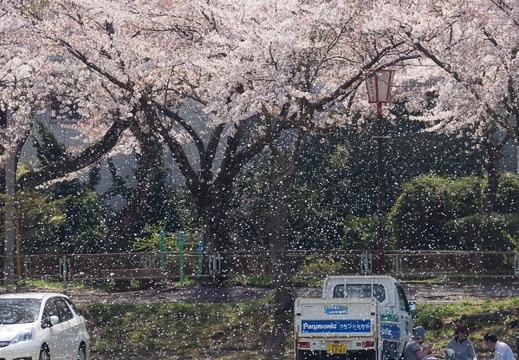 201404091205-DSC03164.jpg