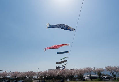 201404091210-DSC04092N.jpg