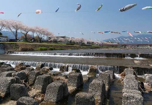 201404091216-DSC04115N.jpg