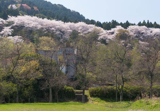 201404091317-DSC04173N.jpg