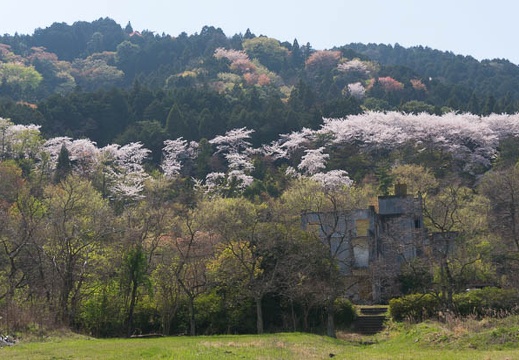 201404091319-DSC04179N.jpg