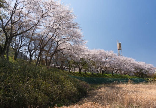 201404091327-DSC04199N.jpg