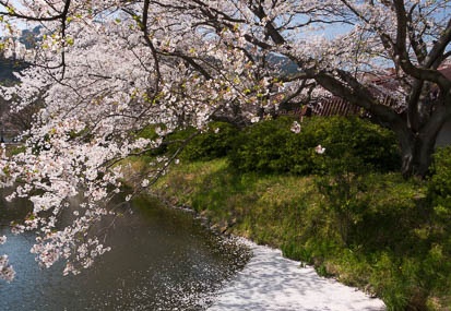 201404091341-DSC04270N.jpg