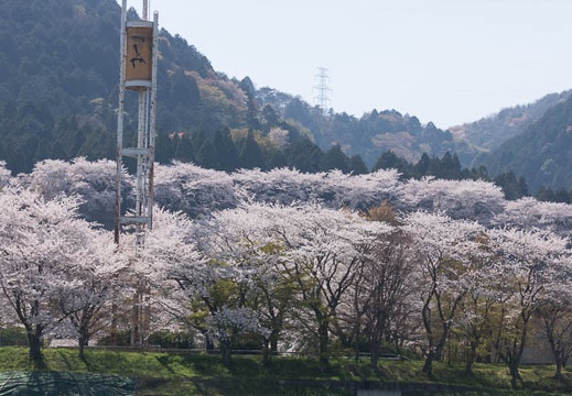 201404091349-DSC03286.jpg