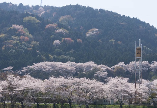 201404091352-DSC03293.jpg