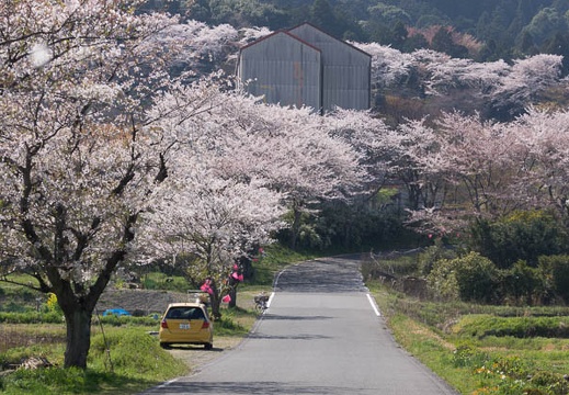 201404091355-DSC03299.jpg