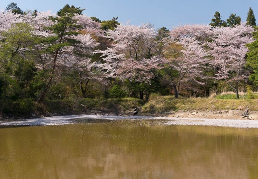 201404091405-DSC04318N.jpg