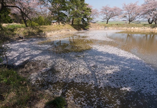 201404091409-DSC04327N.jpg