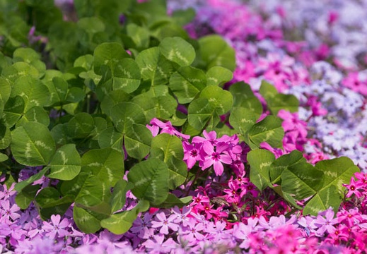 201404101006-DSC03370.jpg