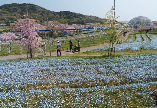 201404101139-DSC04573N.jpg