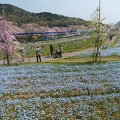 201404101139-DSC04573N.jpg