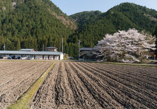201404111604-DSC04685N.jpg