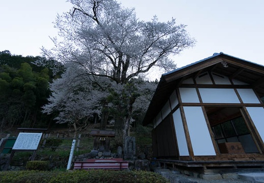 201404111656-DSC04709N.jpg