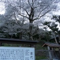 201404111657-DSC04712N.jpg