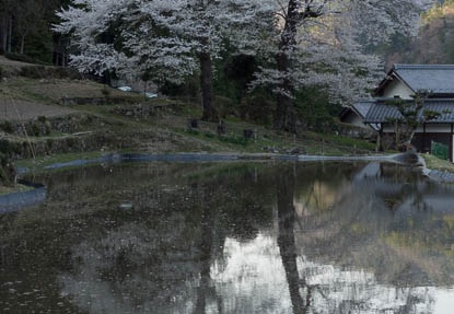201404111659-DSC03730.jpg