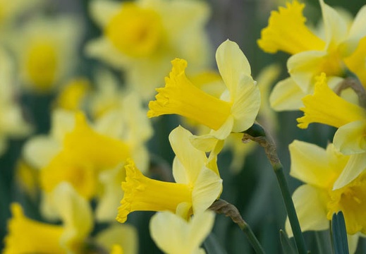 201404111743-DSC03869.jpg