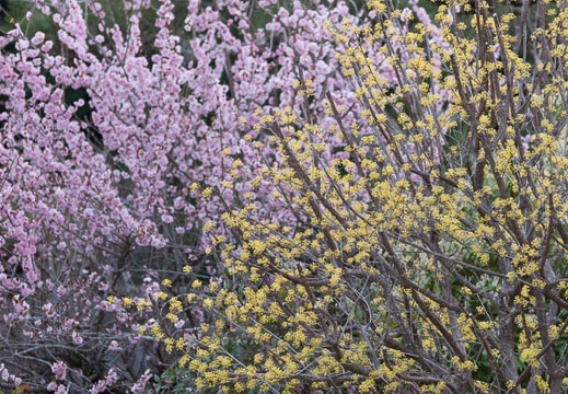 201404111746-DSC03881.jpg