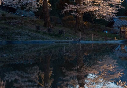 201404111836-DSC03933.jpg