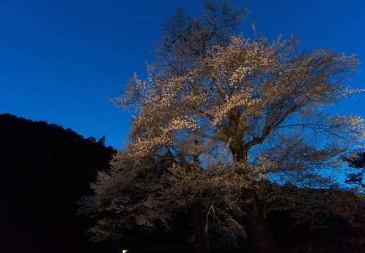 201404111841-DSC04729N.jpg