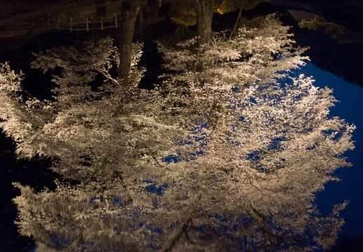 201404111858-DSC03984.jpg