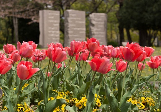 201404121207-DSC04012.jpg