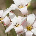 201404121226-DSC04063.jpg