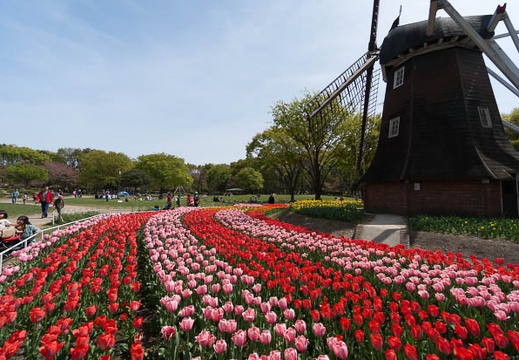 201404121330-DSC04852N.jpg