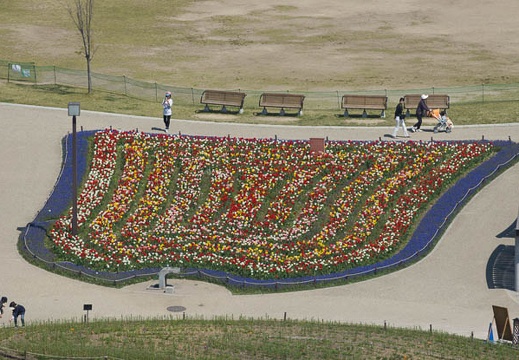 201404141045-DSC04258.jpg