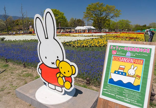 201404141108-DSC04934N.jpg