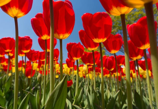 201404141112-DSC04956N.jpg