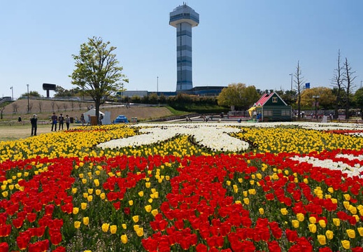201404141113-DSC04963N.jpg