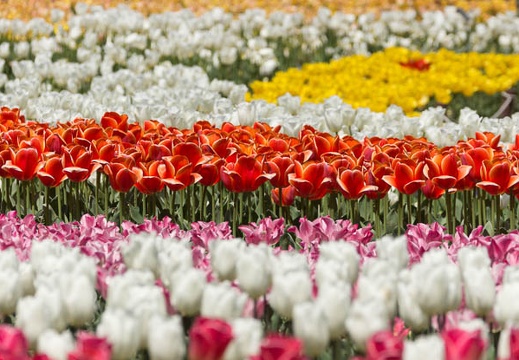 201404141145-DSC04373.jpg