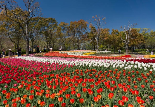 201404141146-DSC05013N.jpg