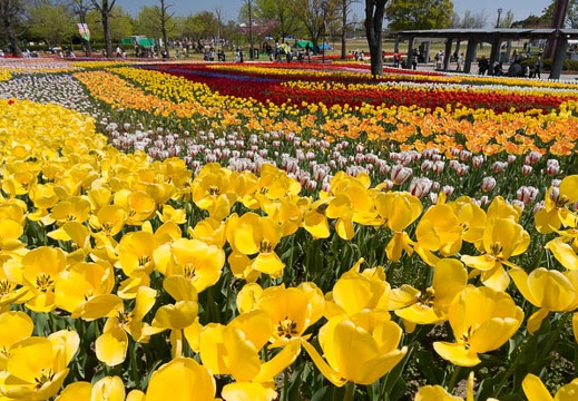201404141150-DSC05030N.jpg