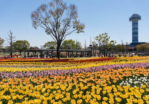 201404141153-DSC05039N.jpg