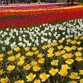 201404141223-DSC05109N.jpg